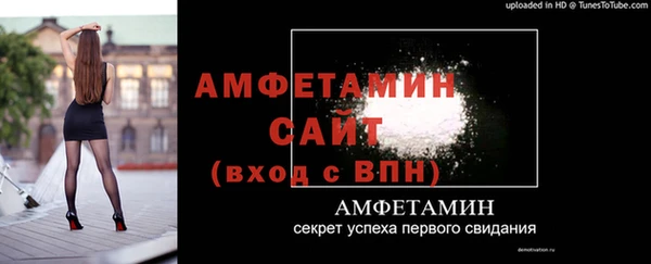 ГАЛЛЮЦИНОГЕННЫЕ ГРИБЫ Гусь-Хрустальный