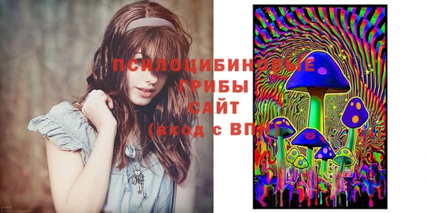 гашик Алзамай