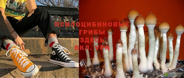 СК Гусиноозёрск