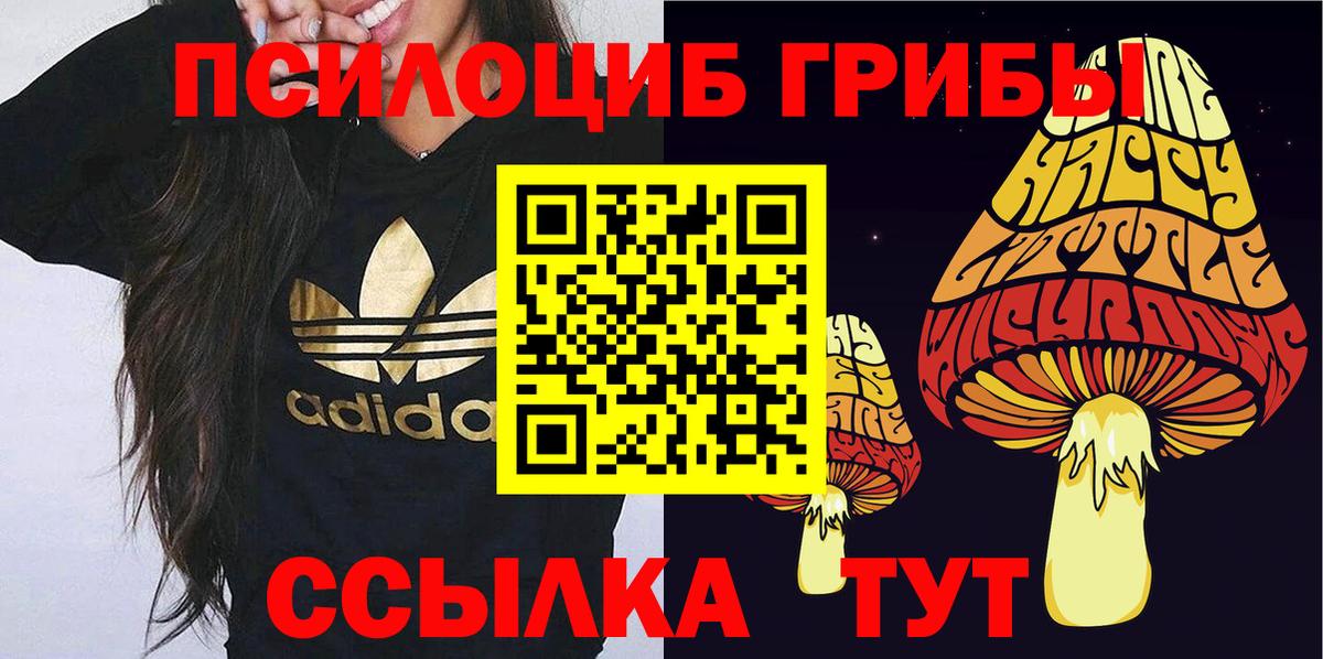 Псилоцибиновые грибы MAGIC MUSHROOMS Октябрьский
