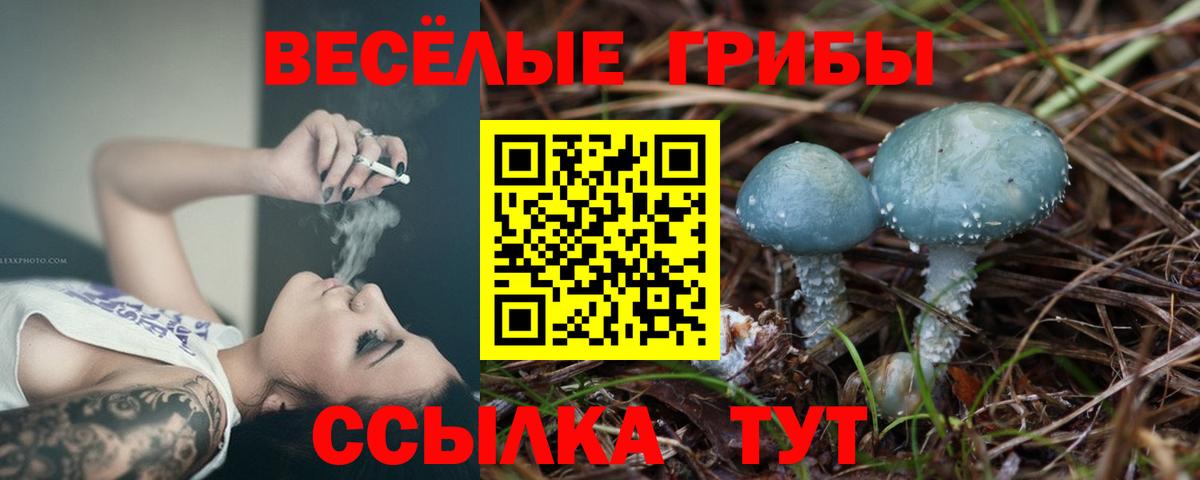 Галлюциногенные грибы мухоморы  Вход с VPN  где купить наркотик  Октябрьский 